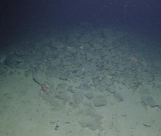 Amphora from one of the Knidos shipwrecks