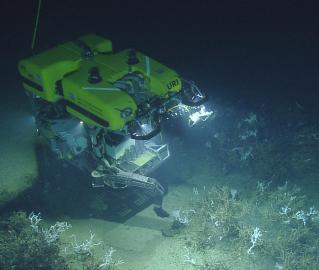 Hercules working with the corals