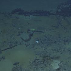 Ottoman Empire Shipwreck on the Seamount 