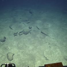 Partially buried amphora in the debris field