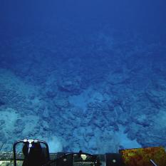 Rocky start, ancient reef