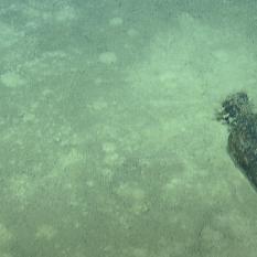 Amphora #4 of Last Leg of the Seamount