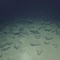 Amphora from the shipwreck