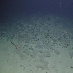 Amphora from one of the Knidos shipwrecks