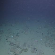 Knidos L Shipwreck 