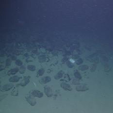 Knidos C Shipwreck