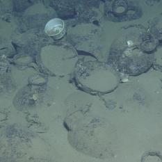 Knidos B Shipwreck Close Up