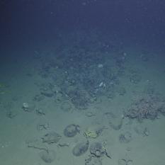 Overview of Knidos B Shipwreck