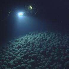 Argus and Knidos F Shipwreck 