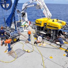 Our operations team prepares Hercules and Argus for another dive.