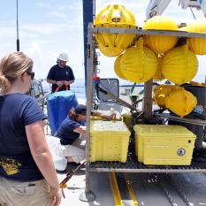 It looks like everything arrived safely on board. 