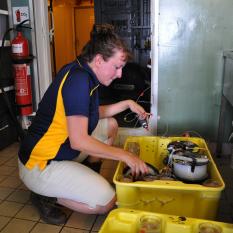 Dr. Beth begins working with the samples. 