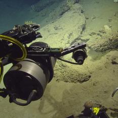 The Beast cam is setting up for a coral photograph