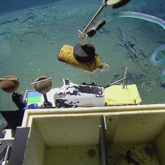 Hercules Retrieving Bottle with Contents