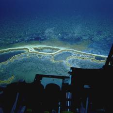 A Unique Underwater Shoreline