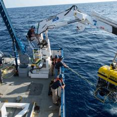 Hercules Recovered