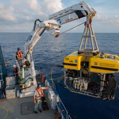 Crane Hoists Hercules