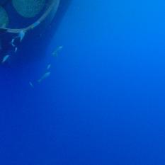 Underwater View