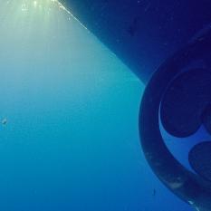 Underwater View