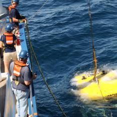 Submerging Hercules