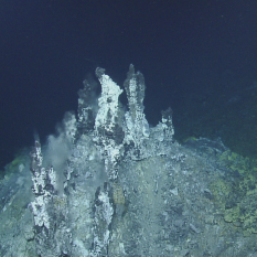 Hydrothermal vent chimney