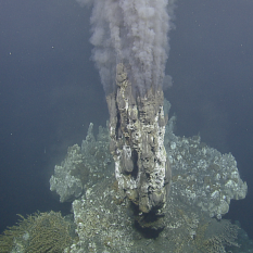 Hydrothermal vent chimney