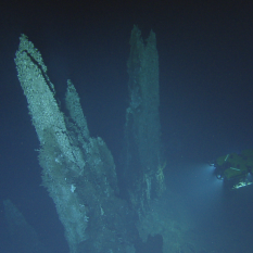 Mothra vents and ROV Hercules