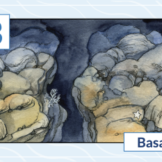 B is for basalt