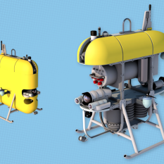 Mesobot diagram with and without shell