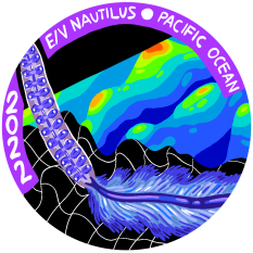 Siphonophore with multibeam overlay