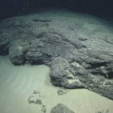 waves on sediment