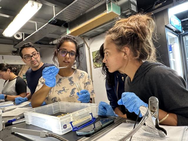 A team look together at samples in the Nautilus wet lab