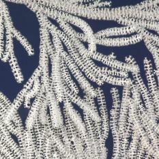 Close up view of the coral polyps of a Primnoidae Paracalyptrophora hawaiiensis, polyps have tentacles surrounding a mouth to capture food particles out of the water column. 