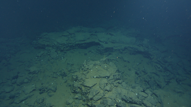 Mid-ocean ridges consist primarily of basalt, a rock made of cooled magma that gets its dark color from being rich in iron and magnesium.