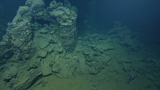 Basalts are actually the most common rock on Earth, and form unique structures as magma flows up from the mantle and cools on the seafloor.