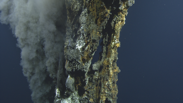 Dissolved minerals coming from these vents are composed of heavy metals such as iron, manganese, zinc, but also toxic gasses like hydrogen sulfide.