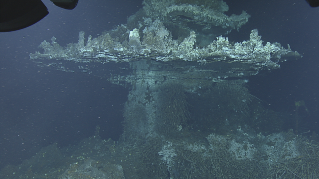 The reflecting effect of these shallow pools witnessed underneath volcanic chimney ledges are called flange pools. These are created when hot, buoyant hydrothermal fluids interface with cooler surrounding seawater.