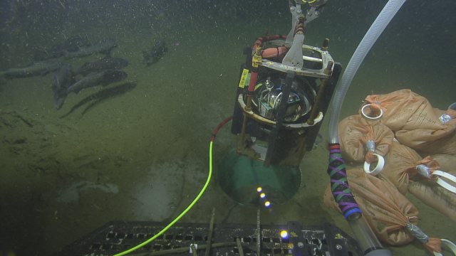 An accelerometer being installed on the seafloor to measure seismic activity. 