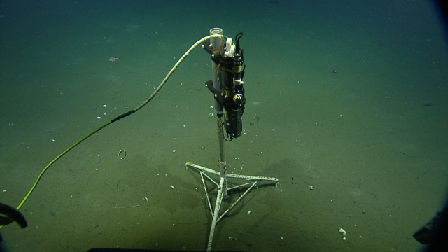 A device that measures conductivity, temperature, and depth (CTD) mounted on a two metre tall monument. 