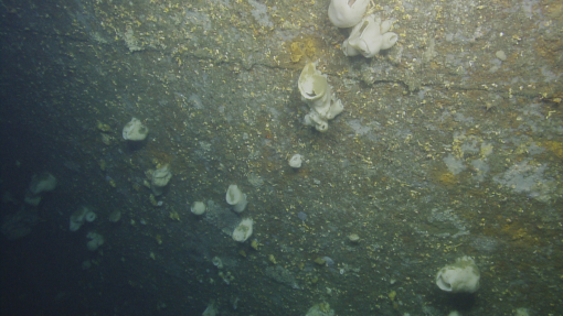 Closeup of wreck hull