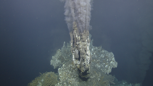 hydrothermal vent chimney