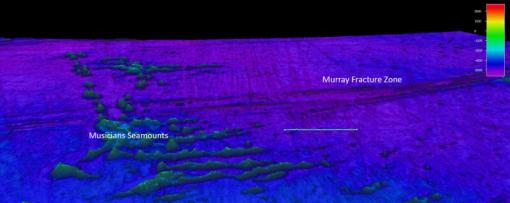 Seafloor mapping image of a fracture zone