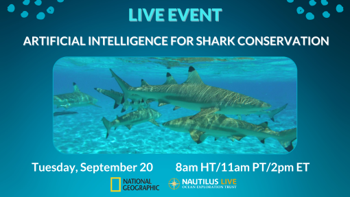 Banner for a live event on September 20 showing blacktip reef sharks with the text overlap Artificial Intelligence for Shark Conservation and the logos of National Geographic and Ocean Exploration Trust