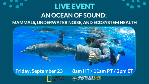 Banner image announcing the live event reads An Ocean of sound mammals, underwater noise, and ecosystem health with a picture of a person swimming alongside a Pacific spotted dolphin