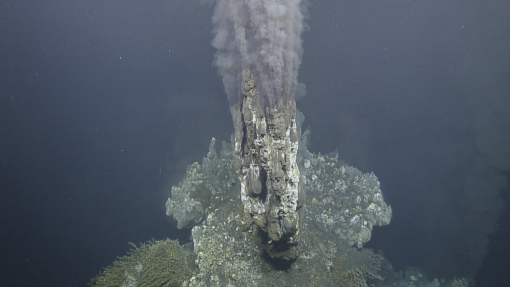 hydrothermal vents endeavour