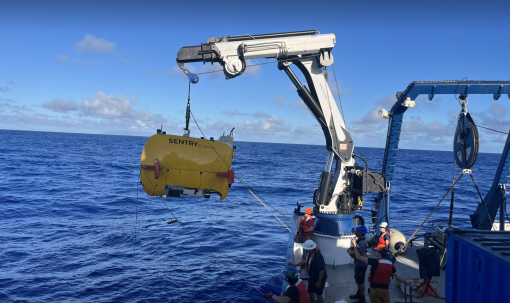  WHOI's AUV Sentry.produces bathymetric, sidescan, subbottom, and magnetic maps of the seafloor. 