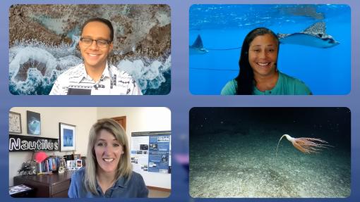  Hau’oli Lorenzo Elarco, Kumu ‘Ōlelo Hawaiʻi, and Hōkūokahalelani Pihana, Native Hawaiian Specialist at the Mokupāpapa Discovery Center talk with OET's Megan Cook about this magnificent animal and the process of granting it the Hawaiian name ʻIhikūholu.