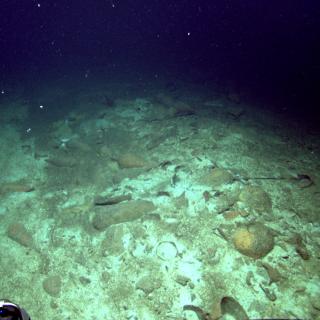 Sinop F dive site